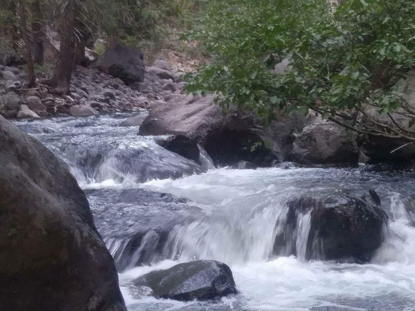 West Branch Campground