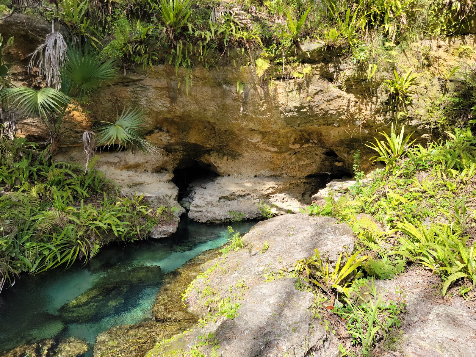 Kelly Park / Rock Springs