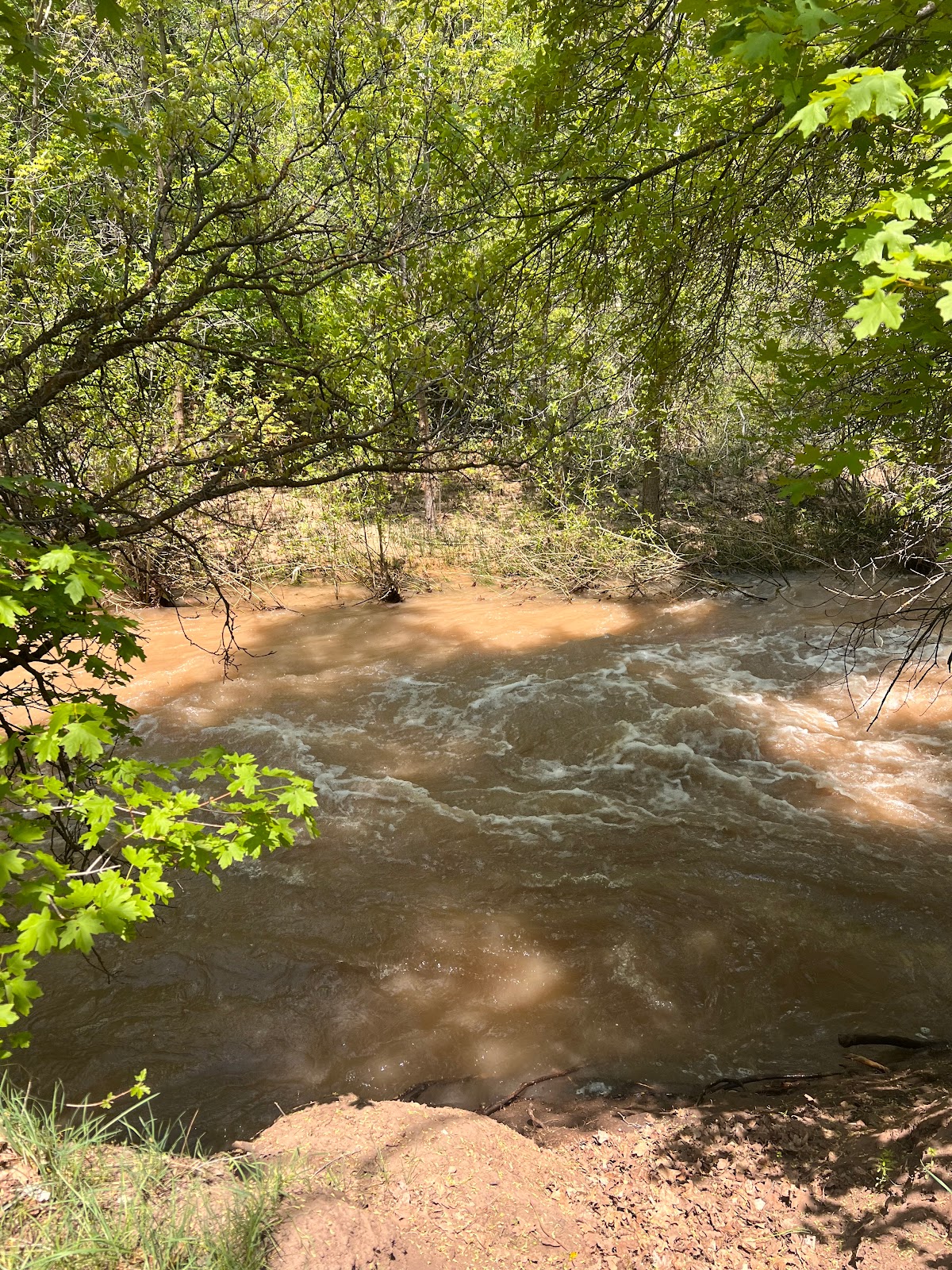 Jolley’s Ranch Campground