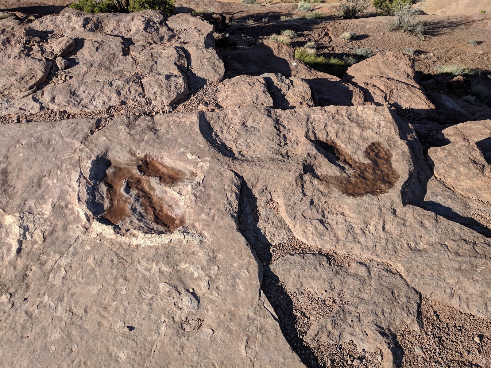 Lions Back Camp Park