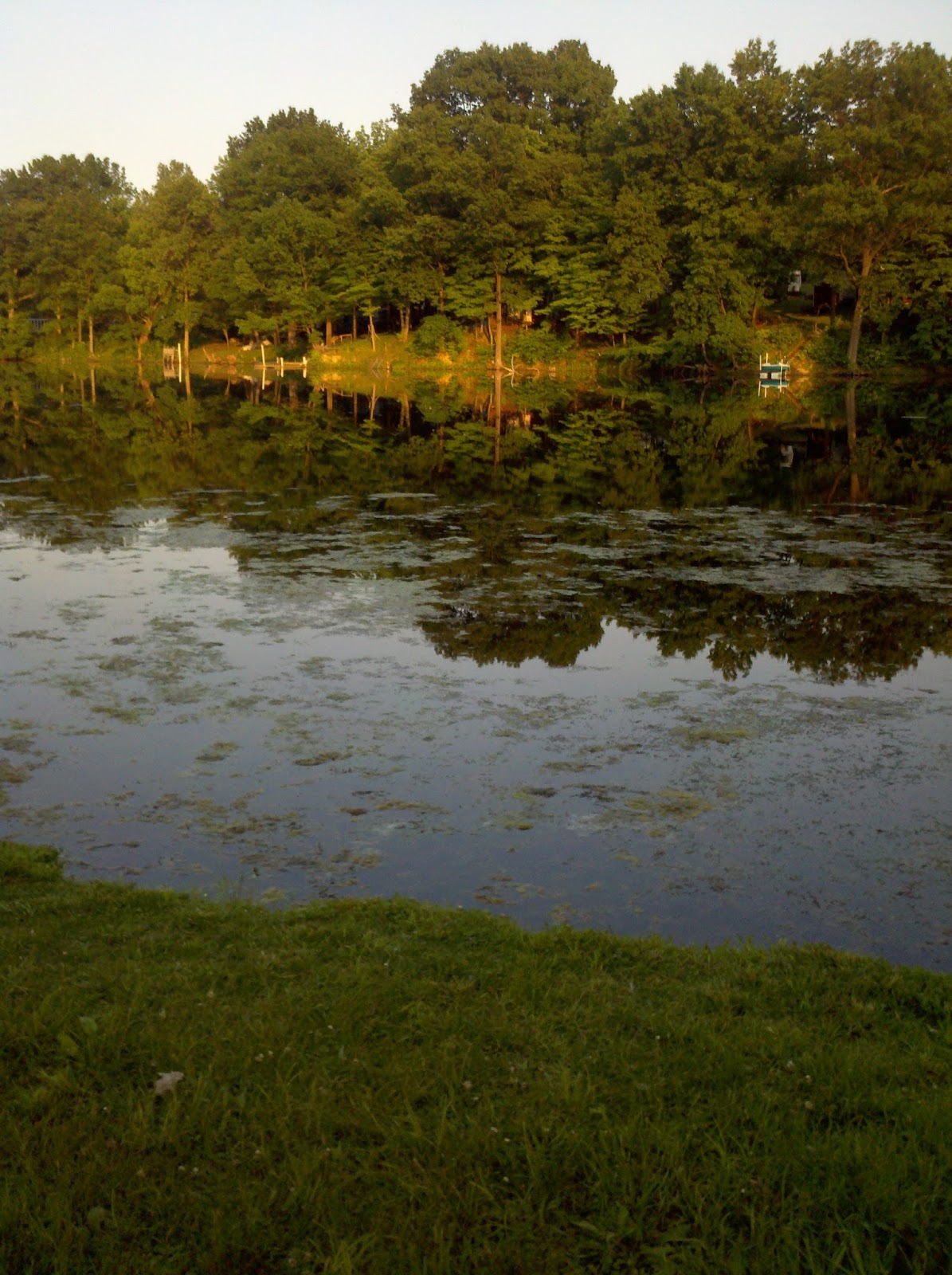 Flying Finn Family Campground