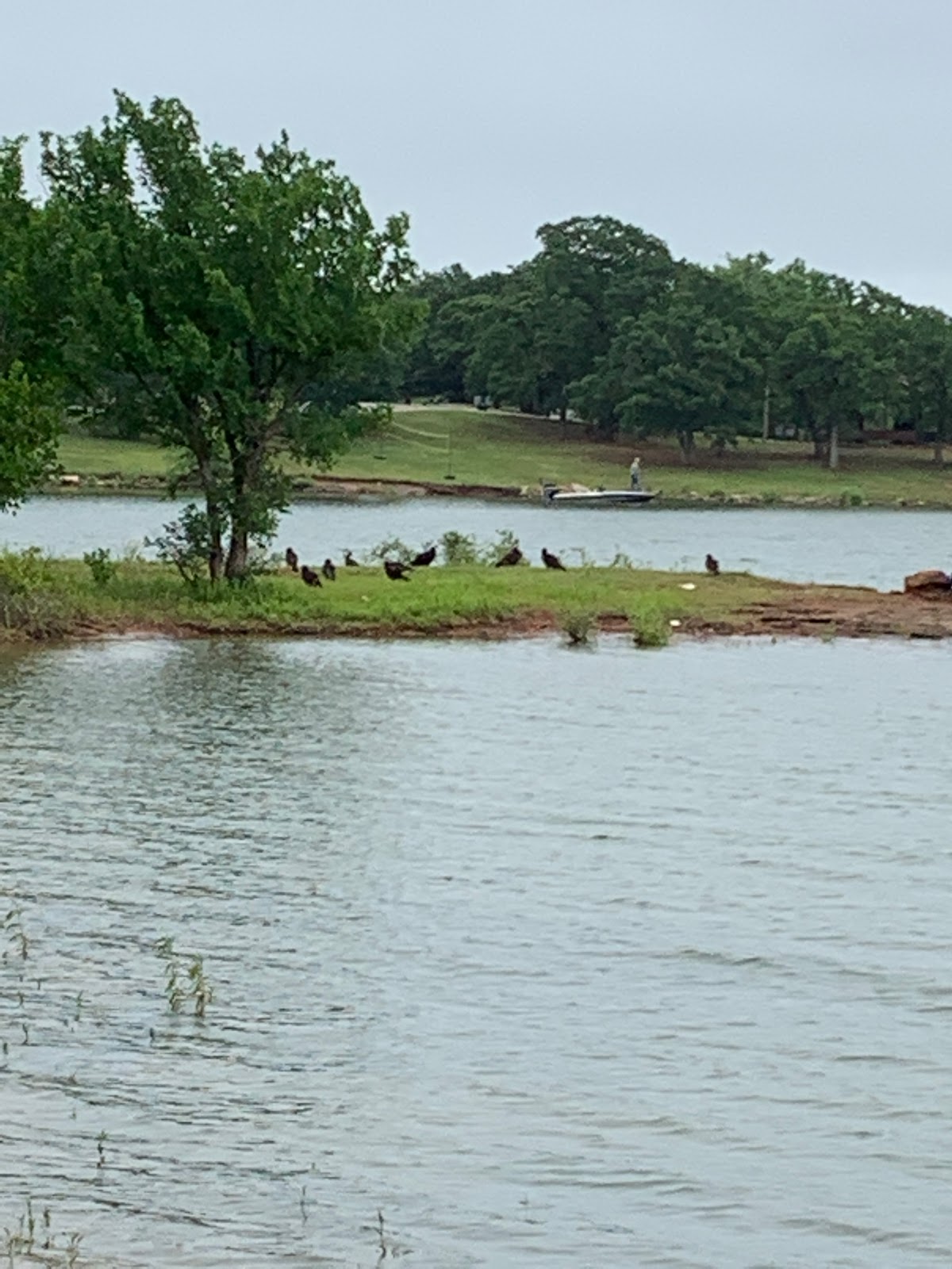 Lake Arcadia Central St Park