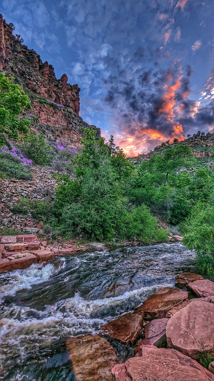 LaVern M. Johnson Park Camping