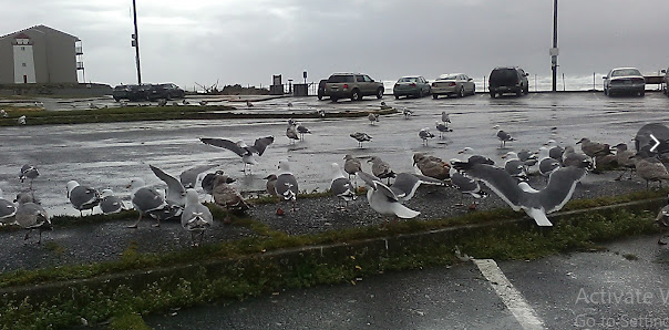 Tree 'n' Sea Trailer Park