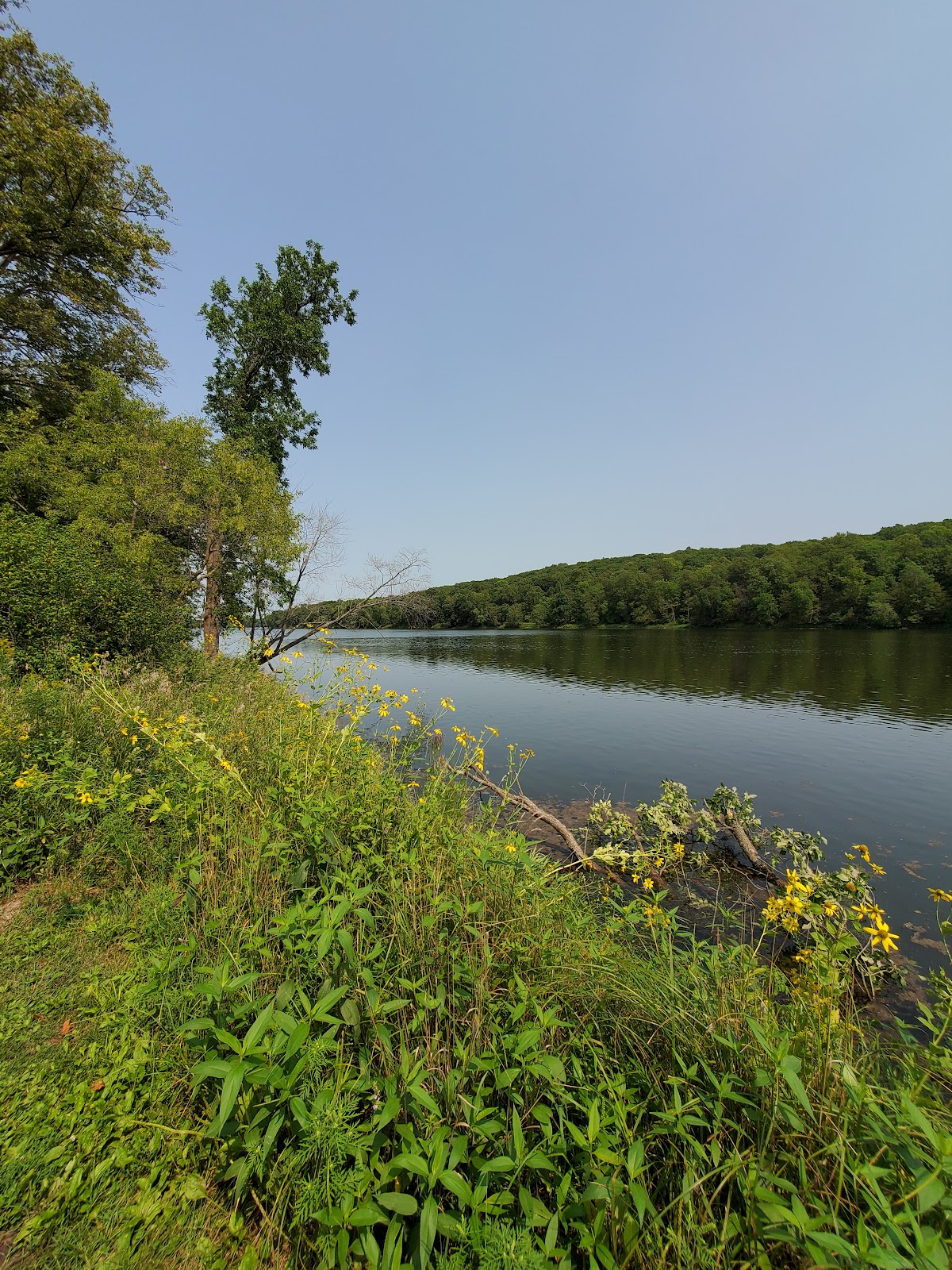 Wild River State Park