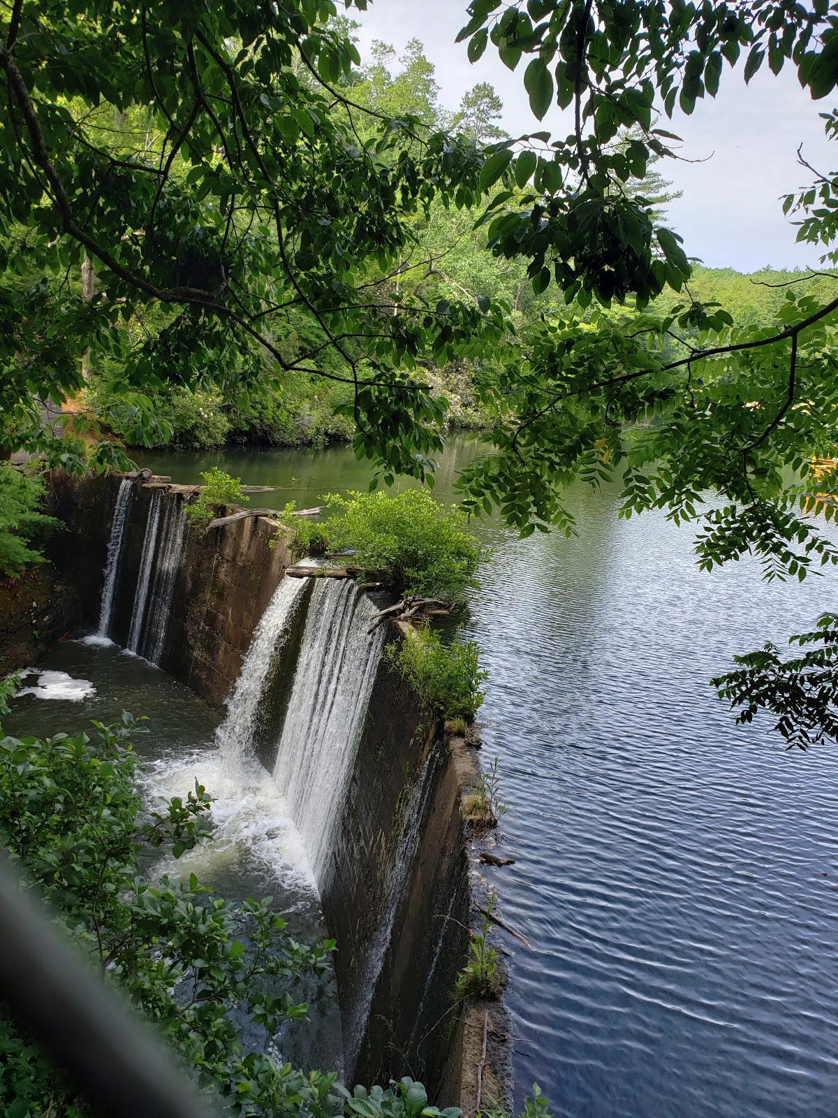 Lake Powhatan Campground
