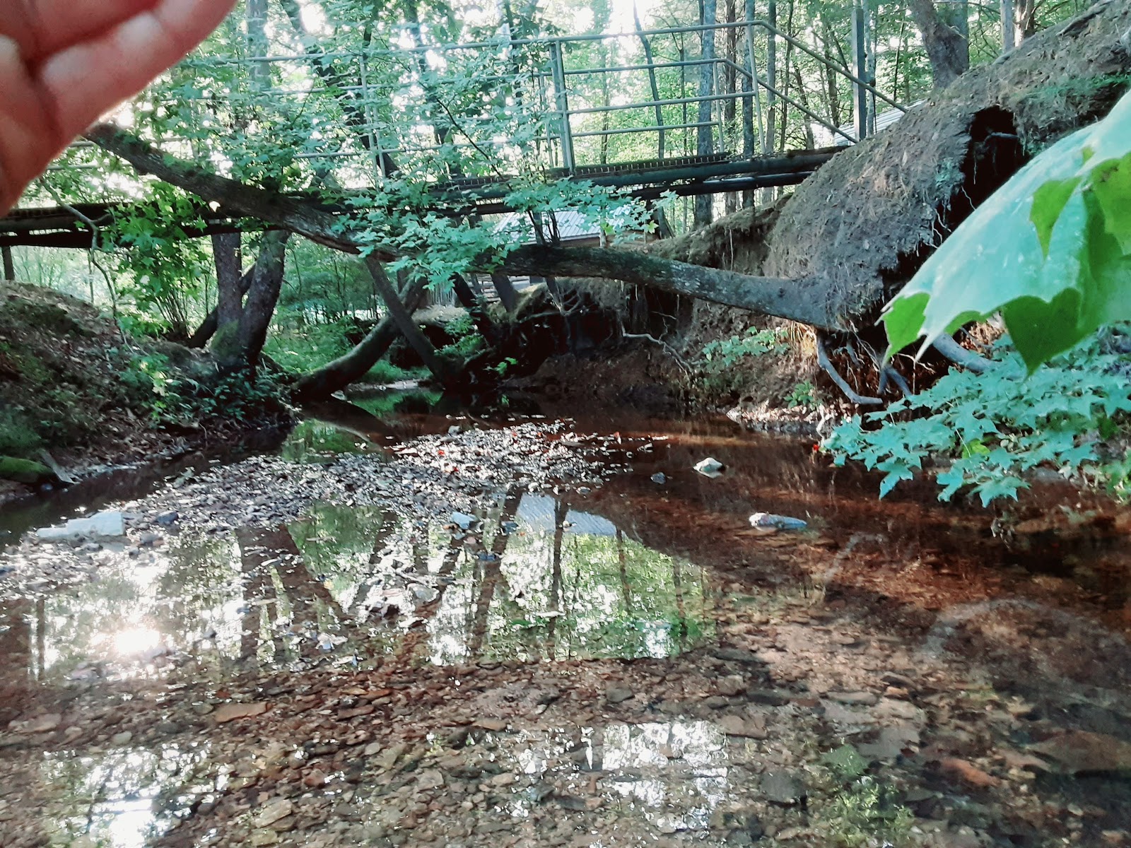 Pikes Peak Campground
