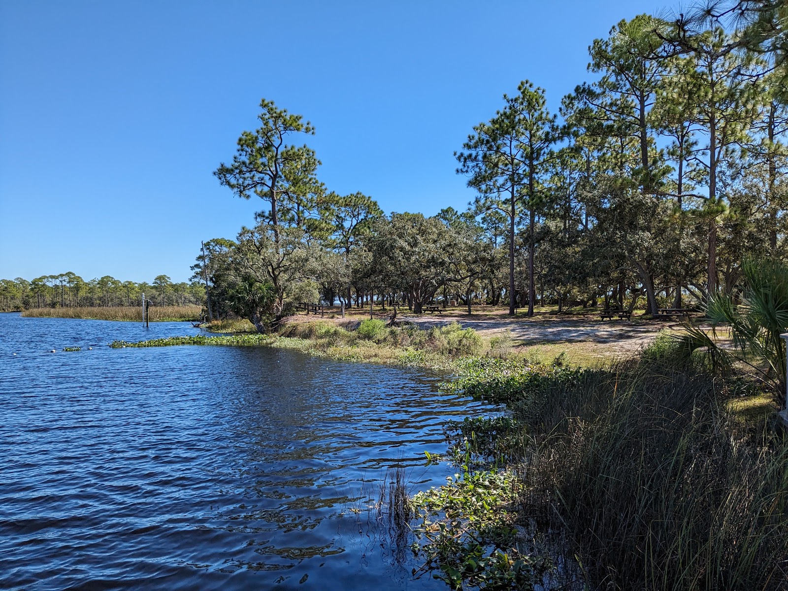 Ochlockonee River State Park