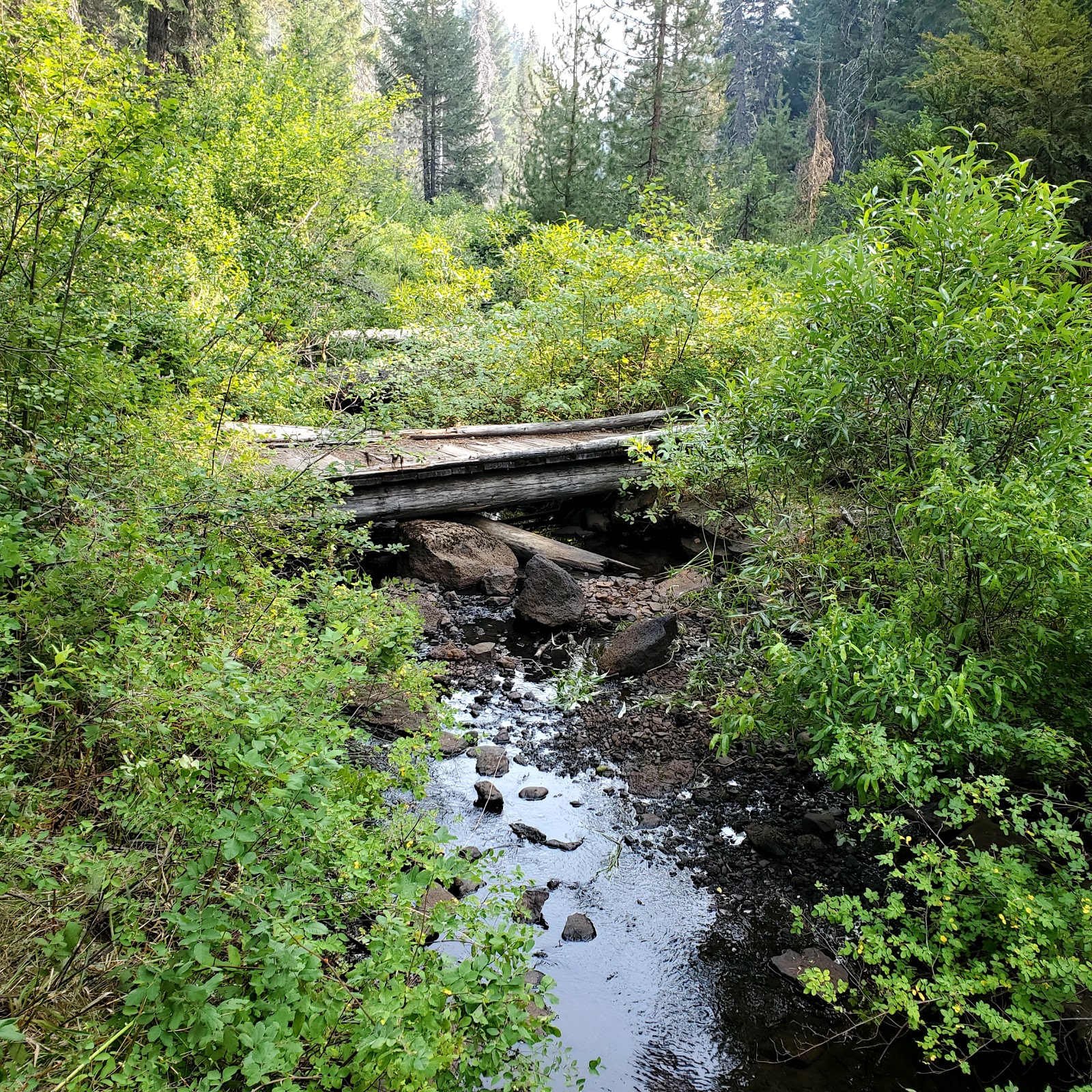 Daley Creek Campground