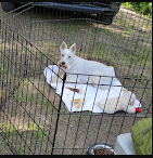 Montana Creek Campgrounds