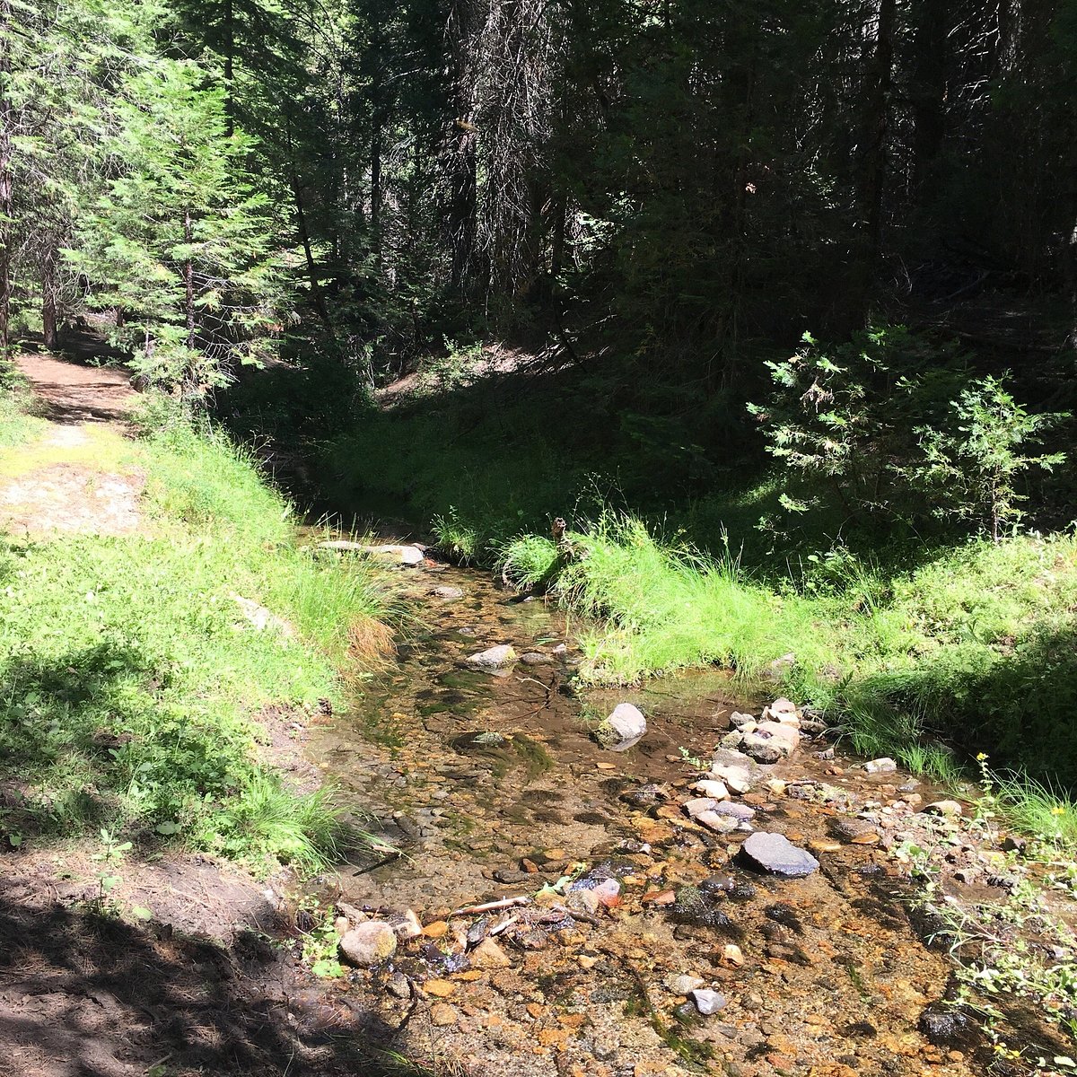 Kelty Meadow Campground