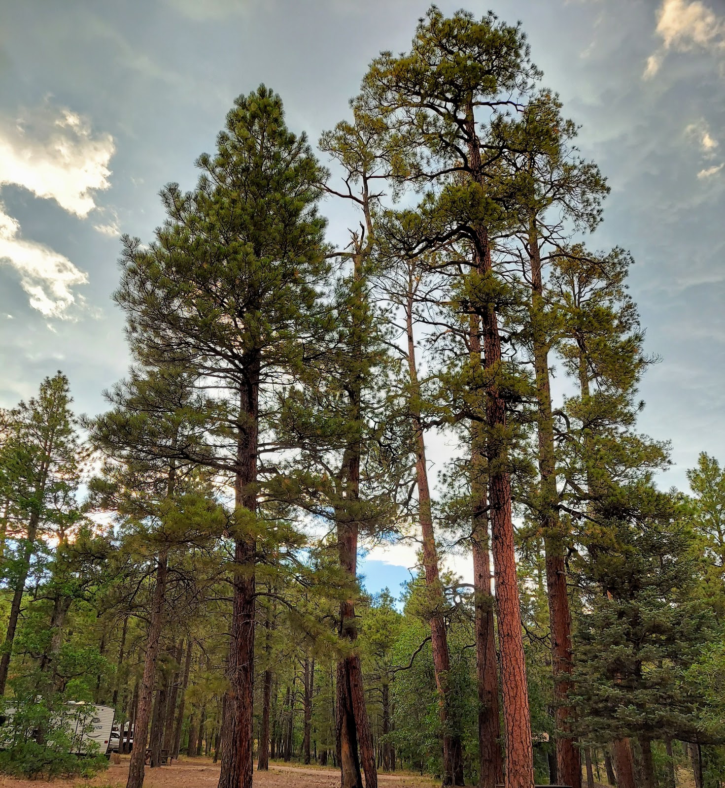 Dairy Springs Campground