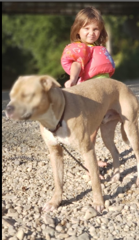 Forest Lake Camping and Fishing
