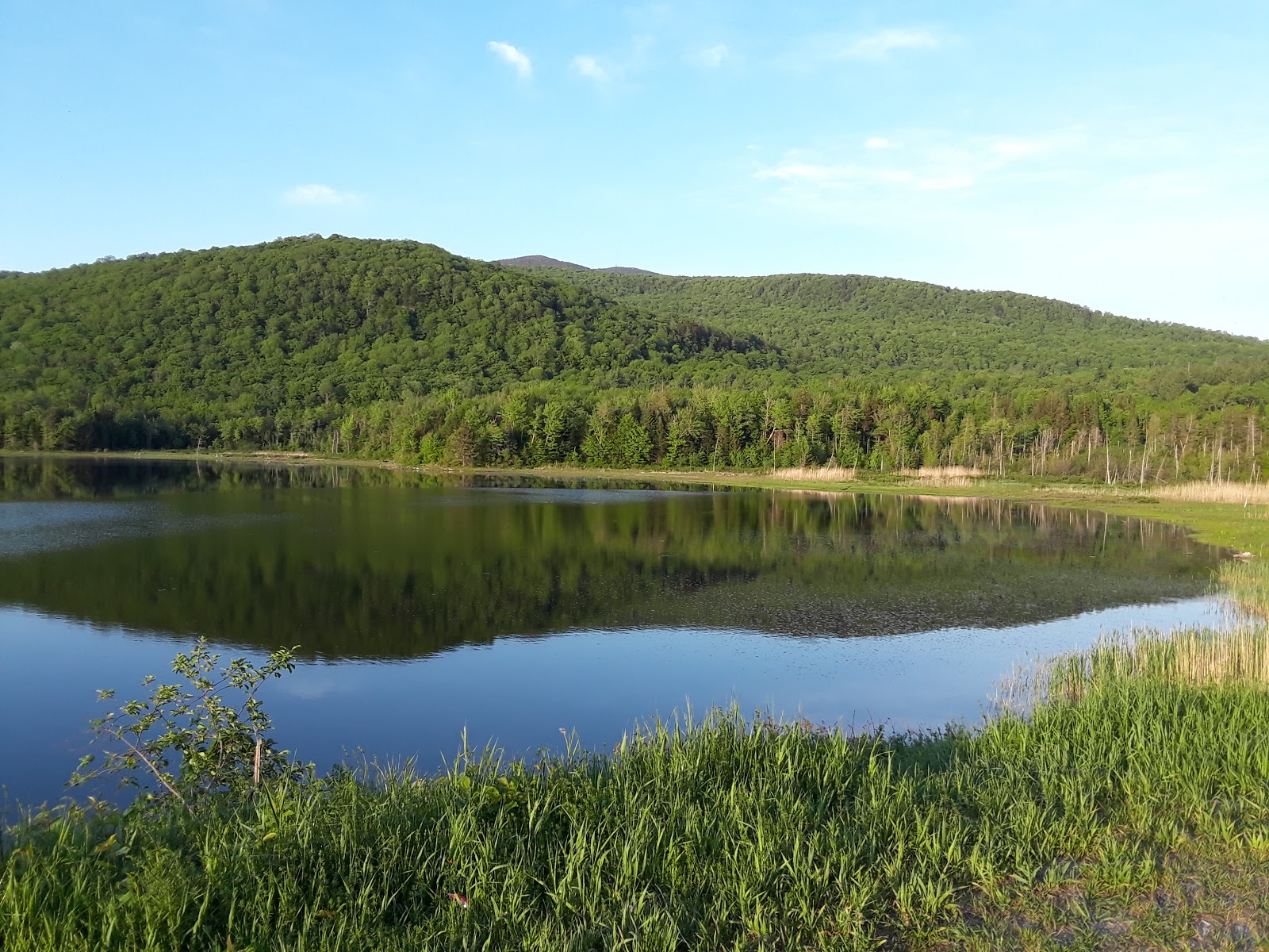 Lakeview Camping Area