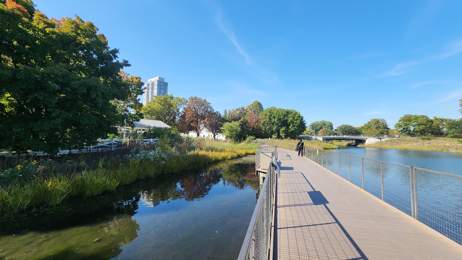 Bridge Over Lincoln Park Zoo's South Pond