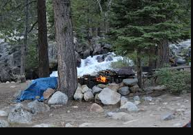 Aspen Grove Group Use Area Camping