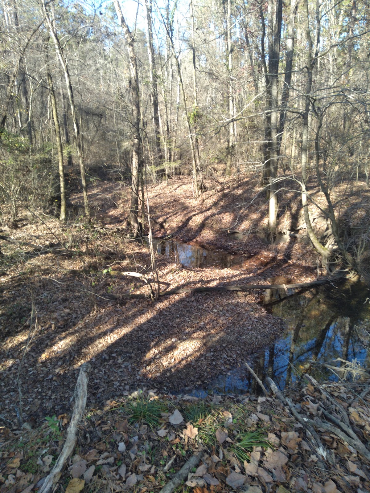 Mark Twain National Forest