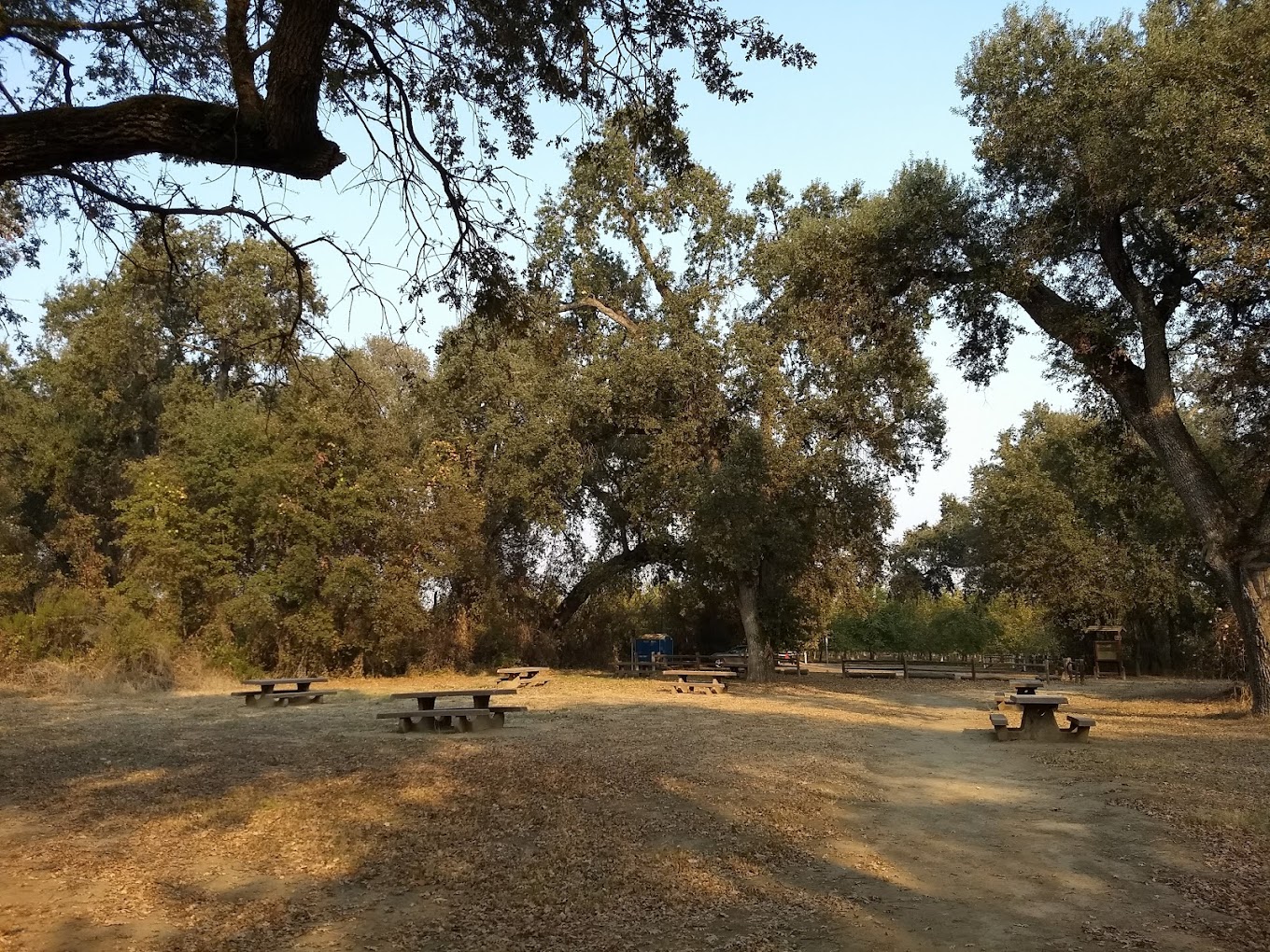 Bidwell-Sacramento River SP