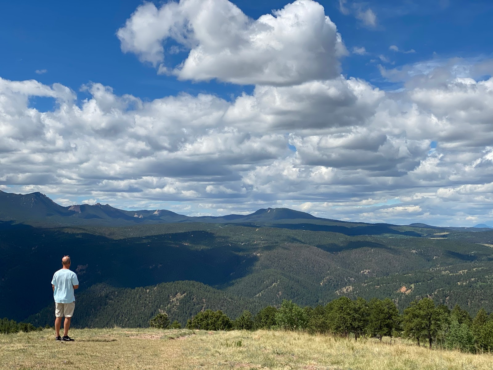 Springdale Campground