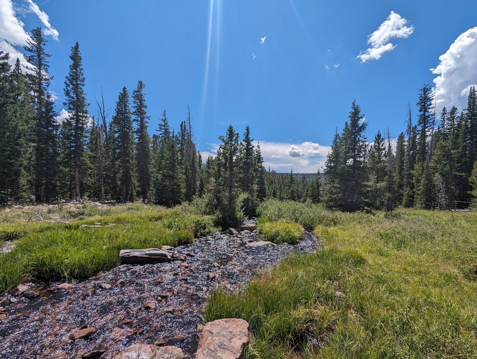 Pole Creek Lake Campground