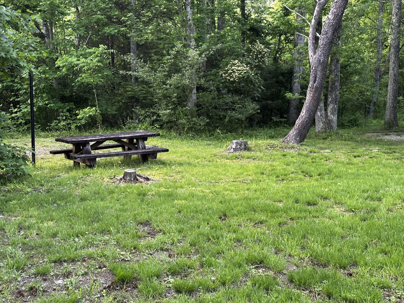 Twin Knobs Campground