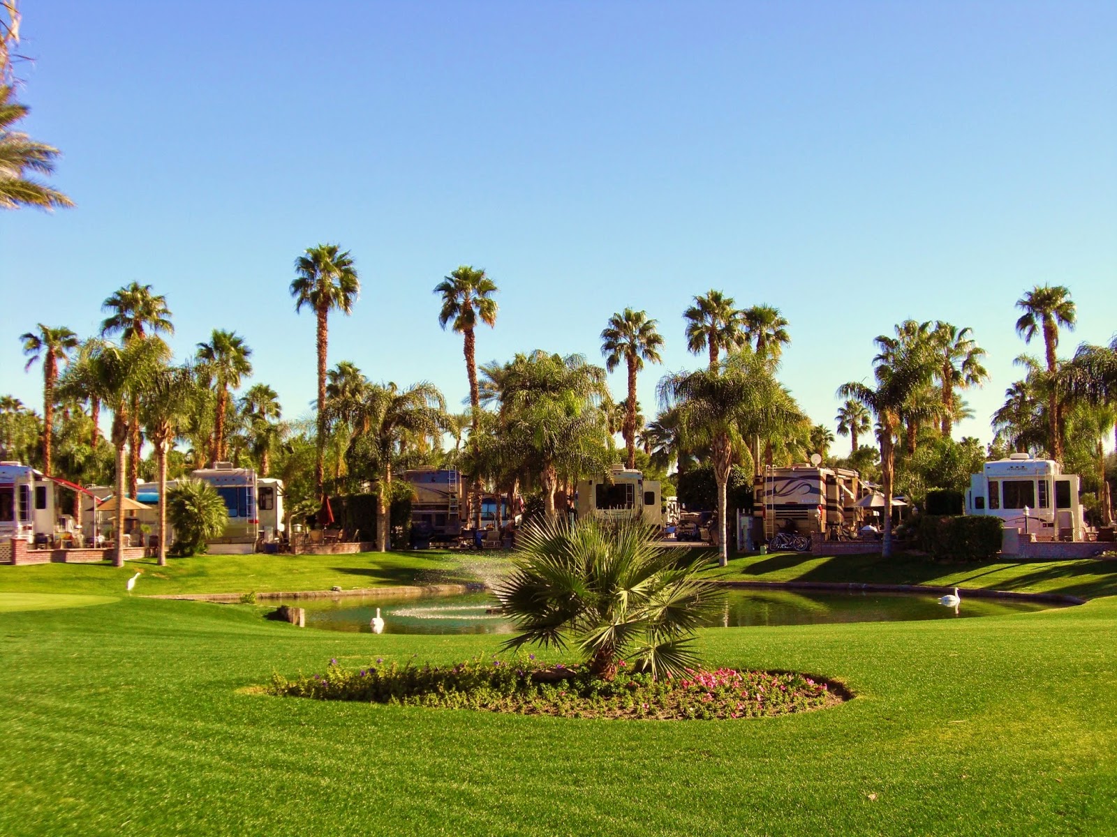 Outdoor Resort - Palm Springs