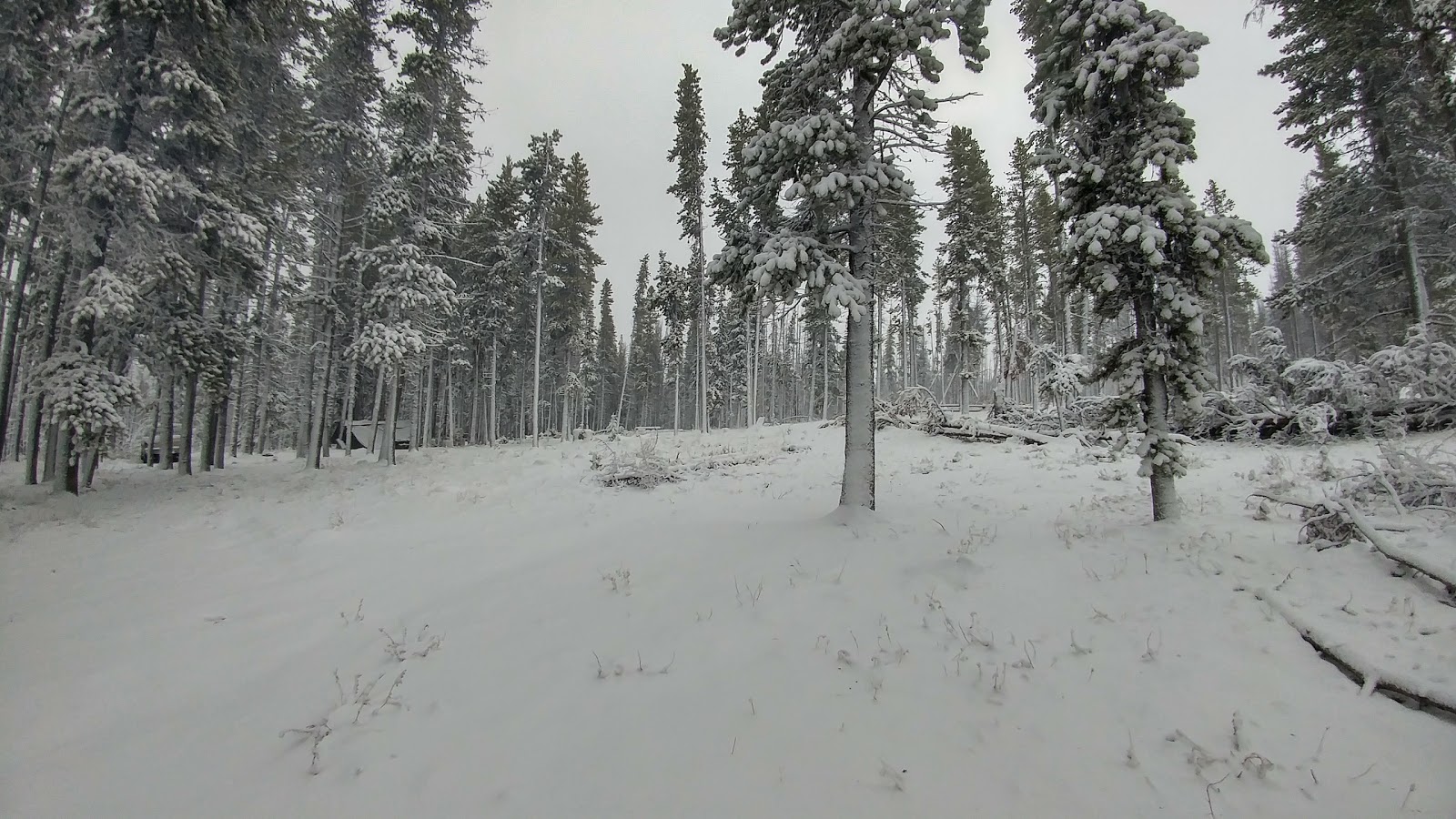 Tiffany Springs Campground