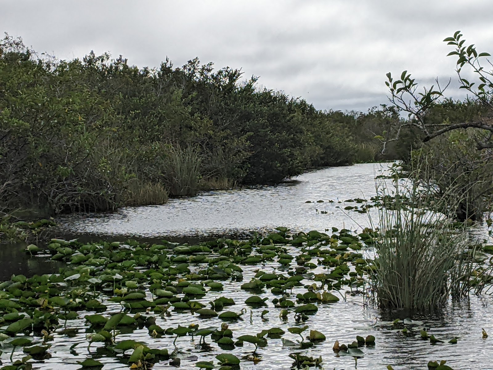 Backcountry Graveyard Creek - Everglades National Park