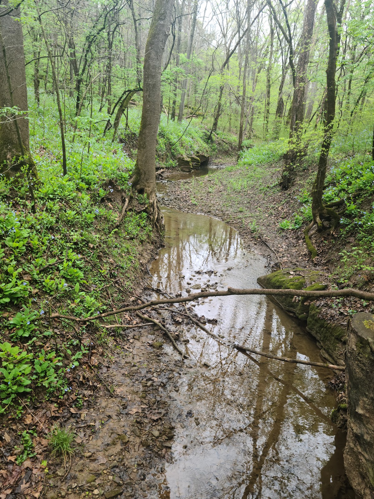 St. Francois State Park