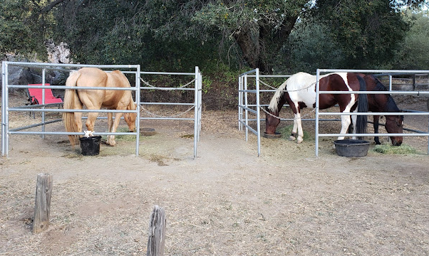 Green Valley Horse Camp