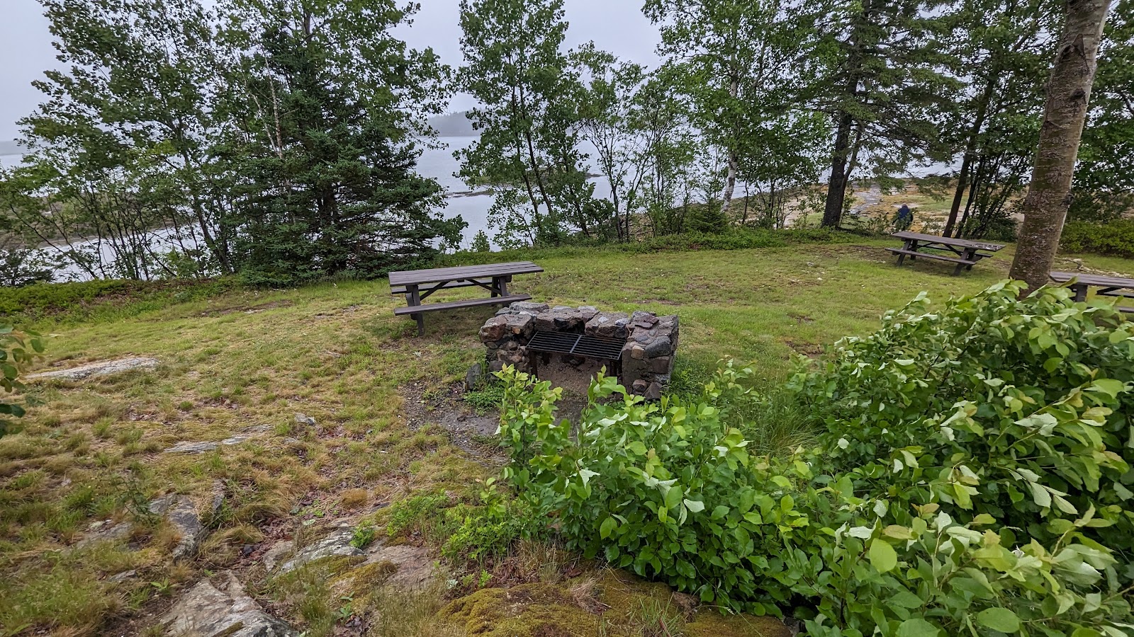Cobscook Bay State Park Campground