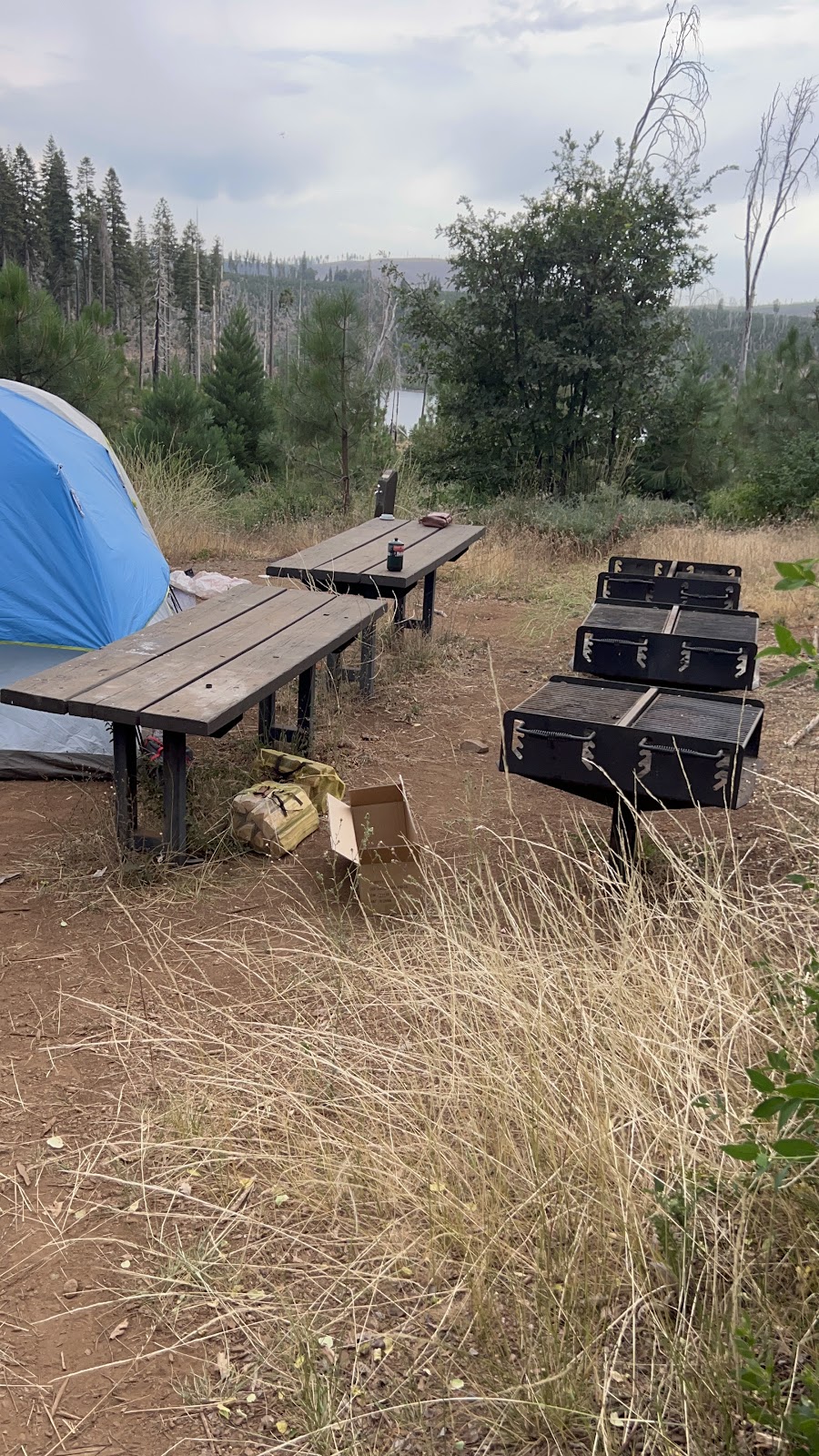 Black Oak Group Campground