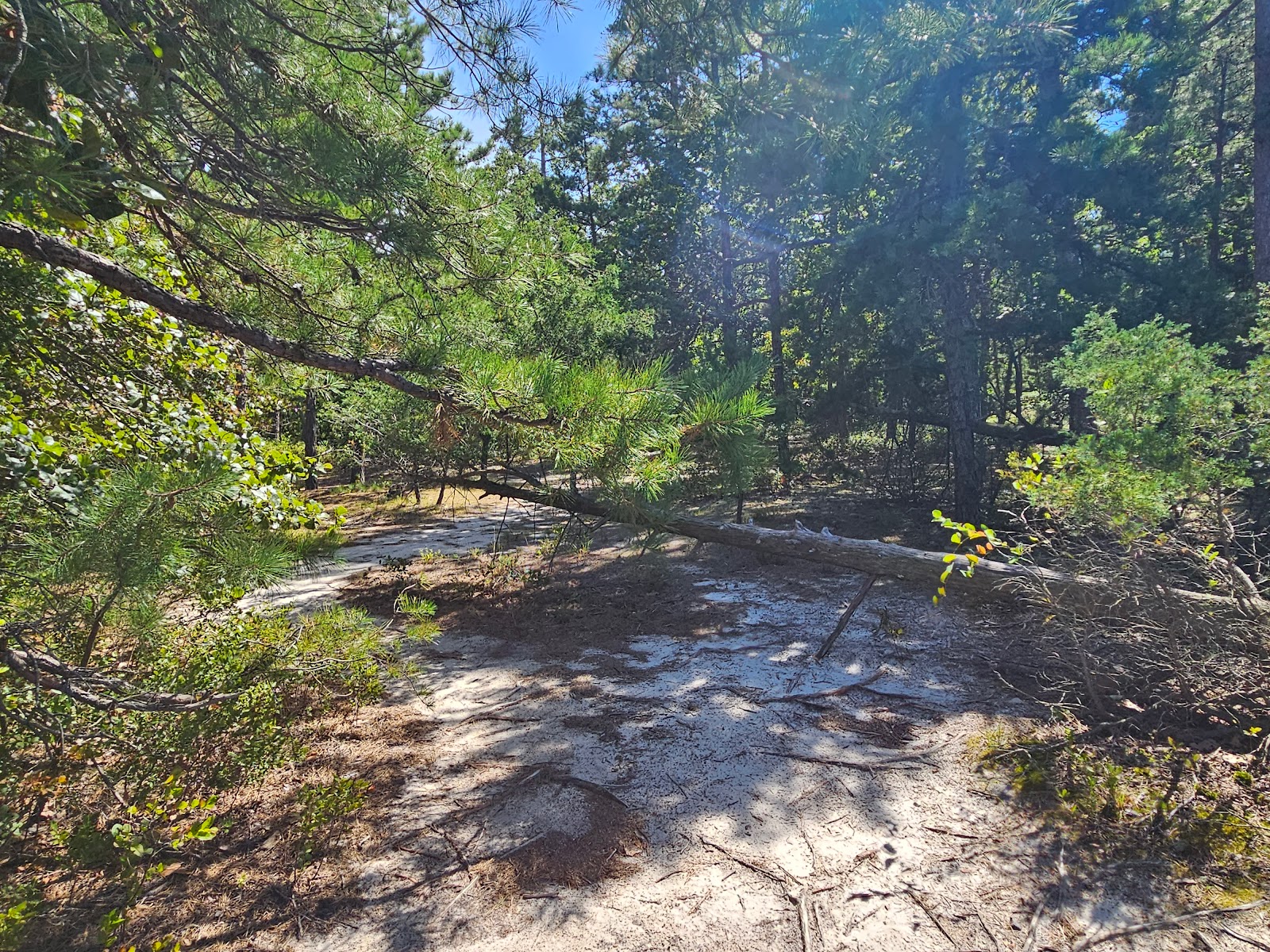 Atsion Recreation Area