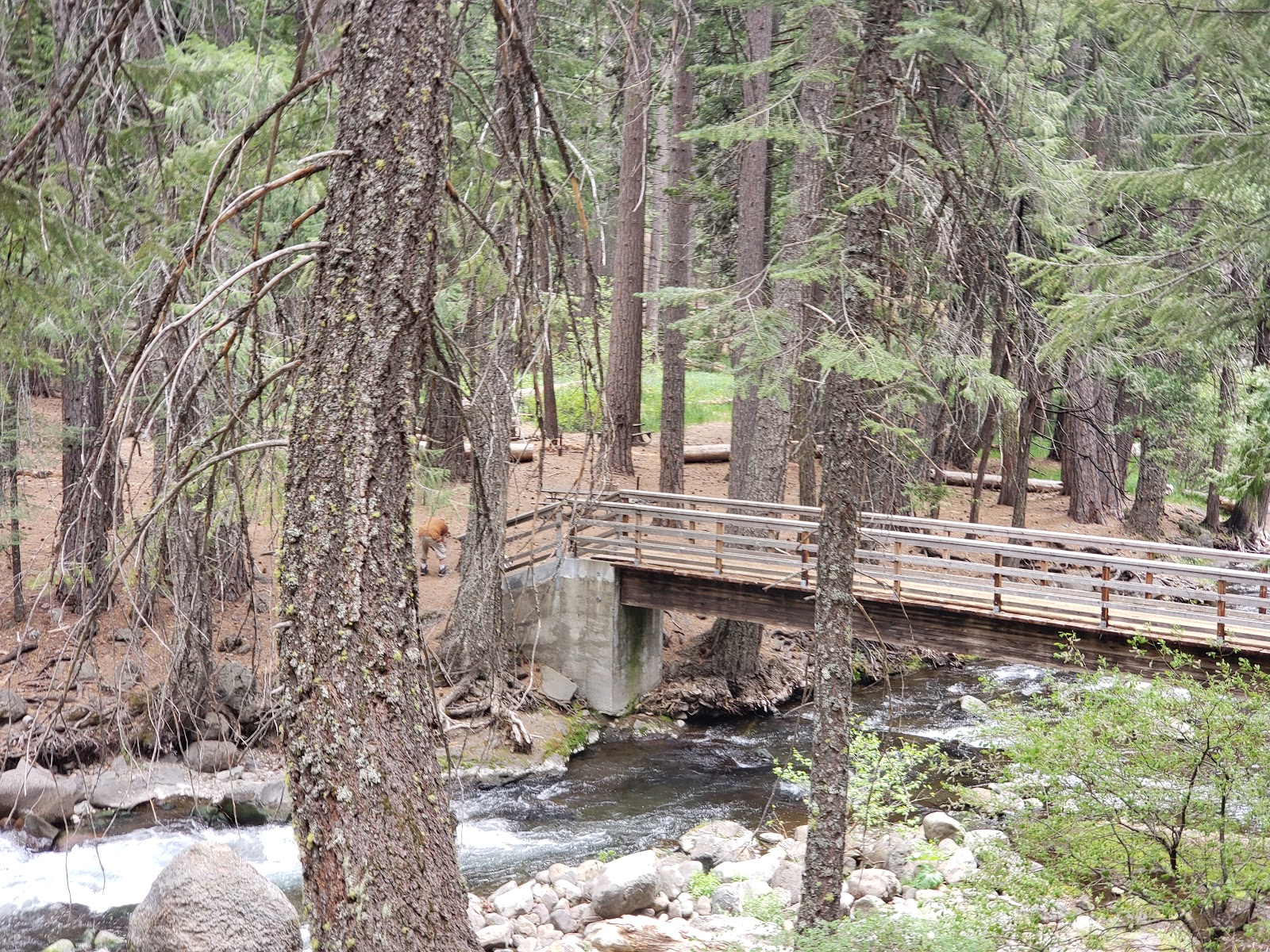 Cherry Hill Campground