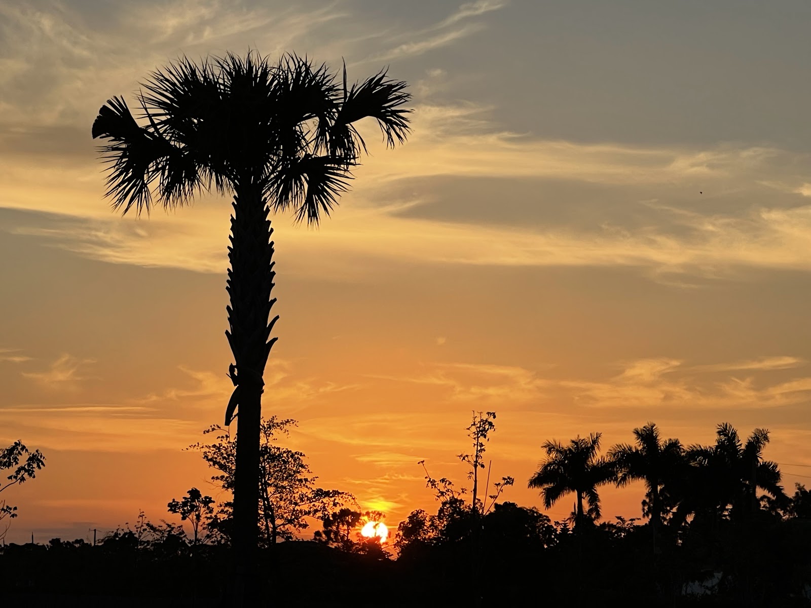 Myriad Luxury Motorcoach Resort