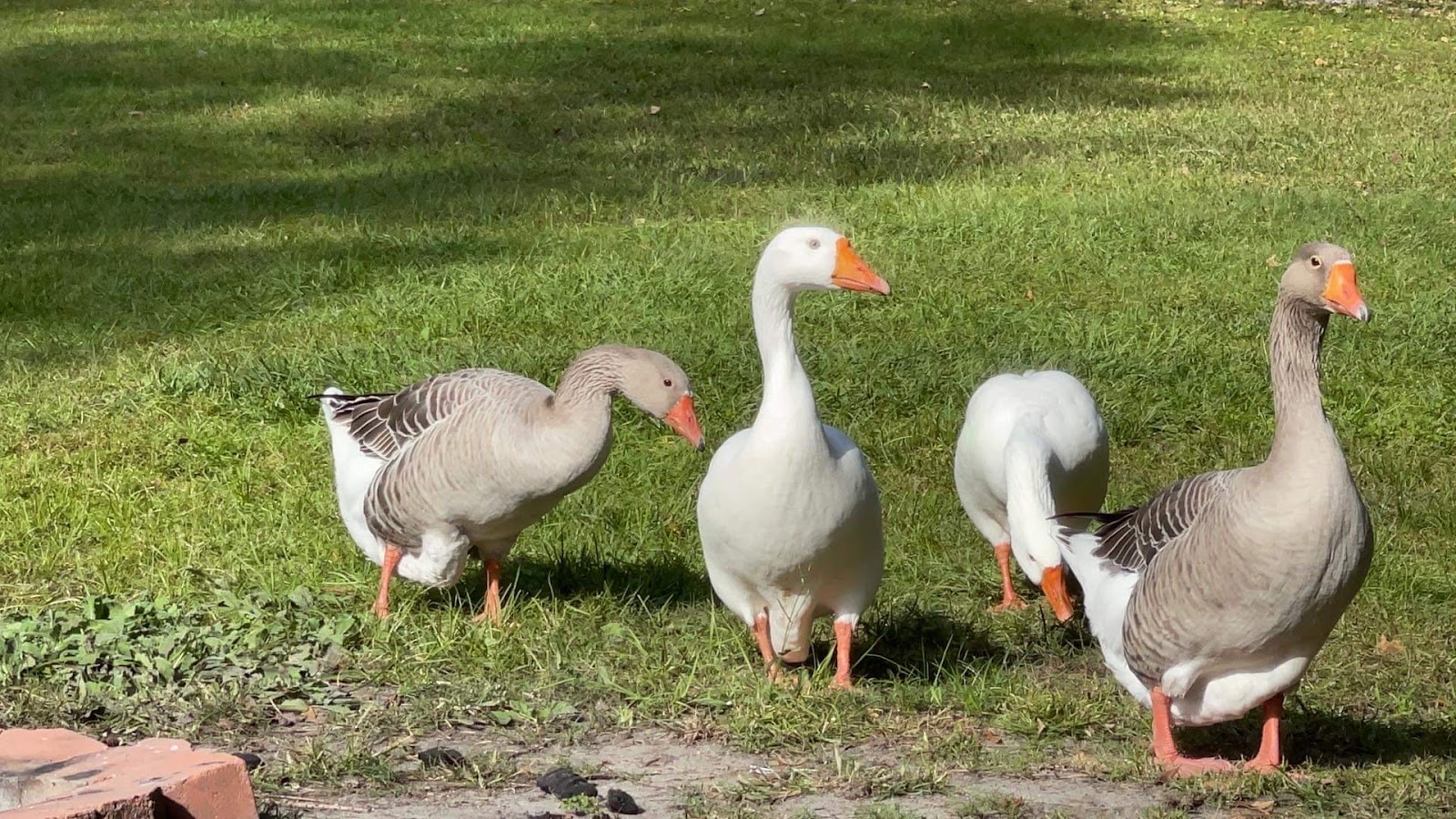 White Oak River Campground