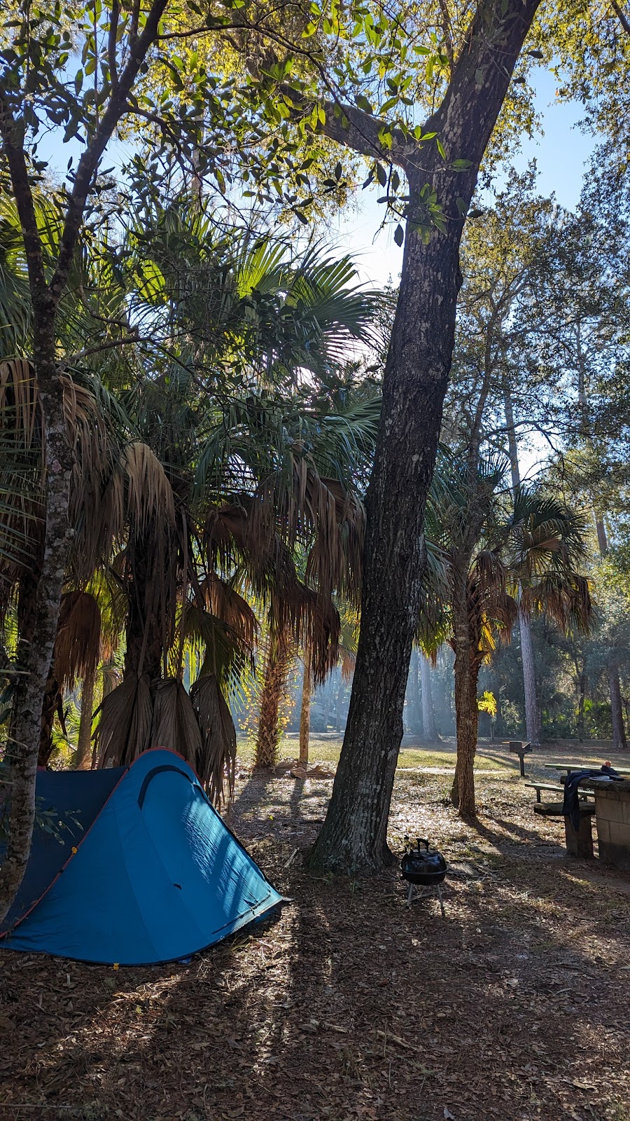 Fore Lake NF Campground