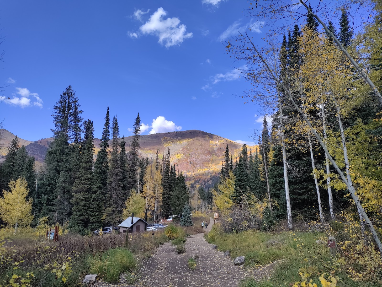 Lyman Lake Campground