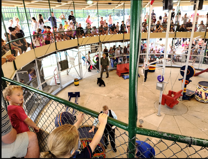 Clark's Trading Post