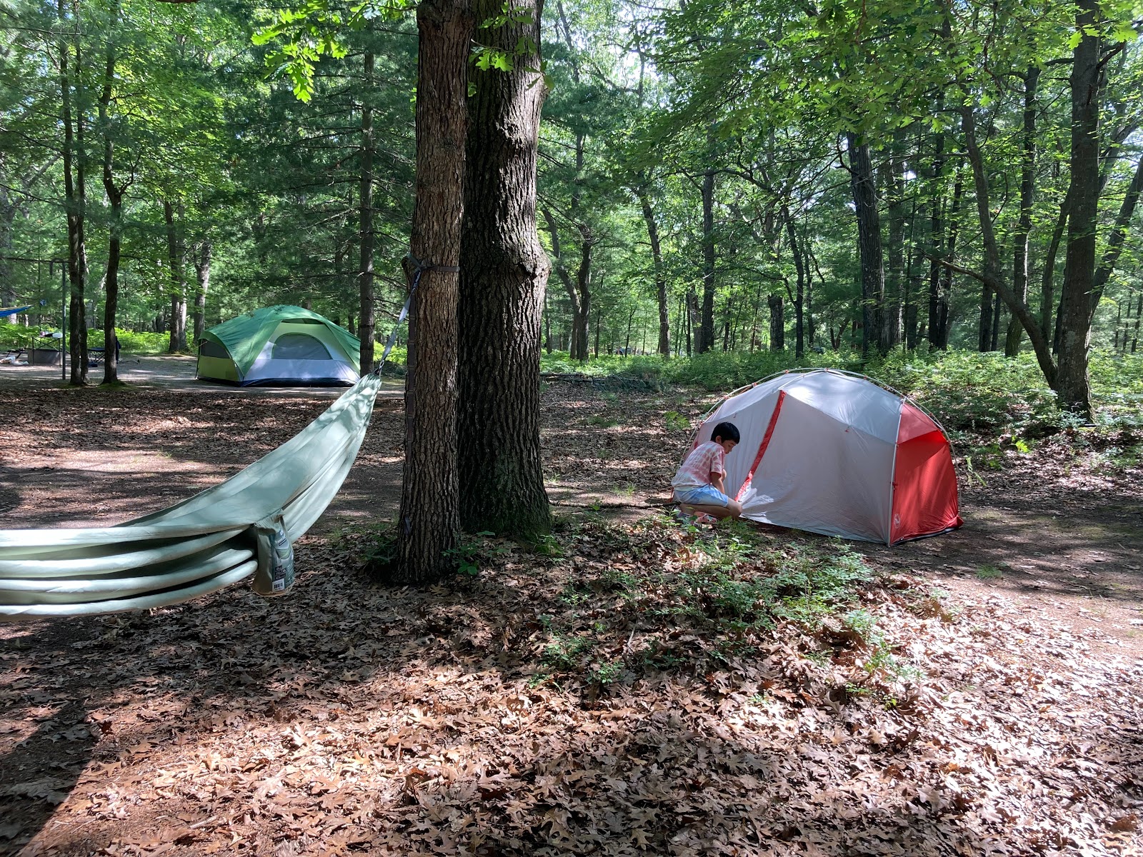 Lake Michigan Recreation Area