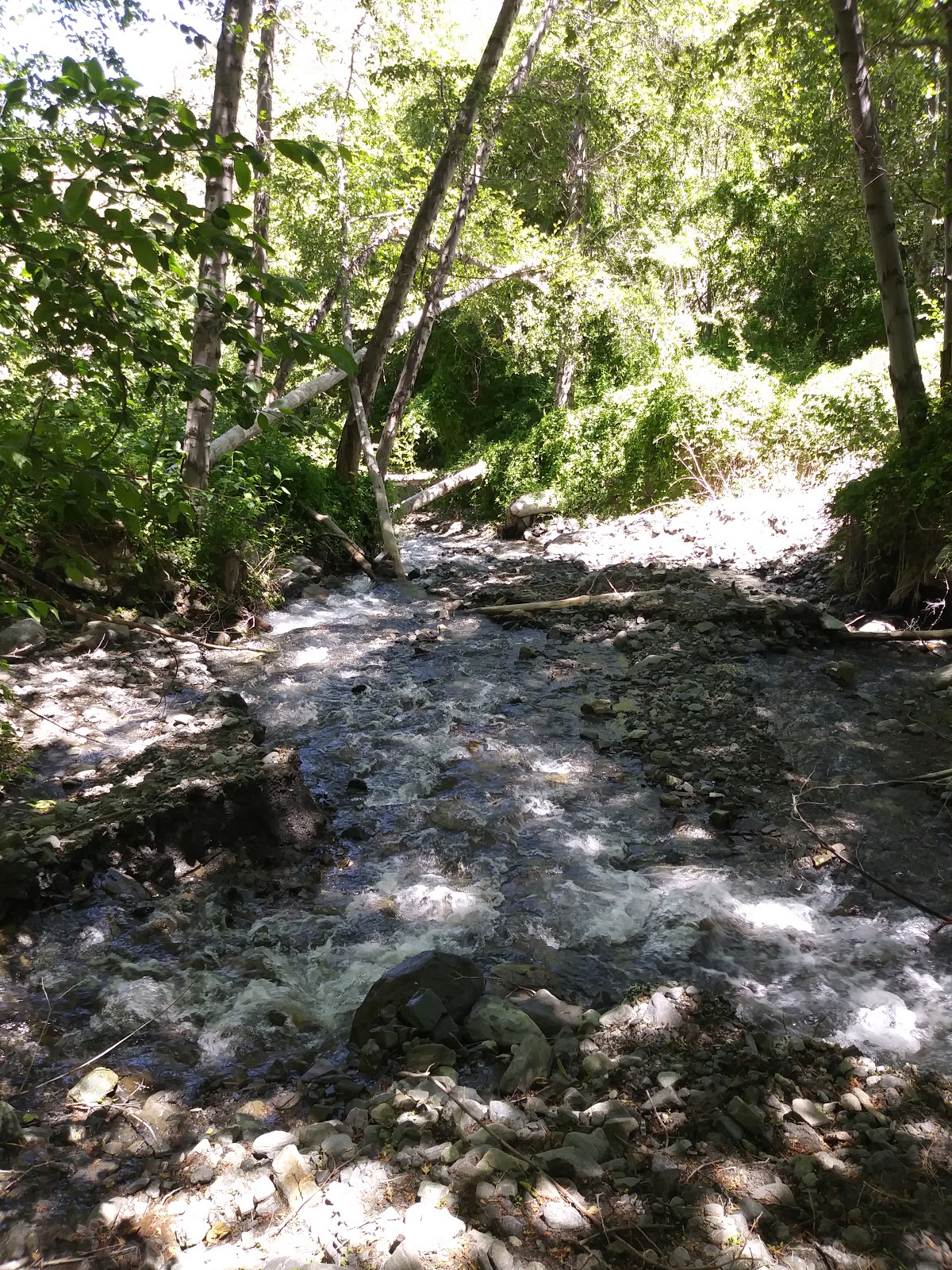 Cabin Flat Trail Camp