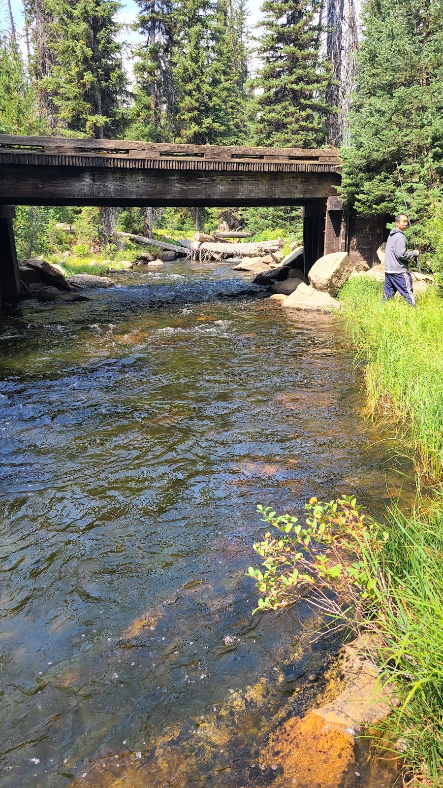 Goose Lake Camping Area