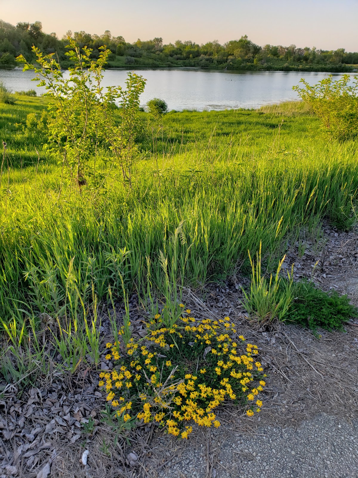 Beaver Lake Campground