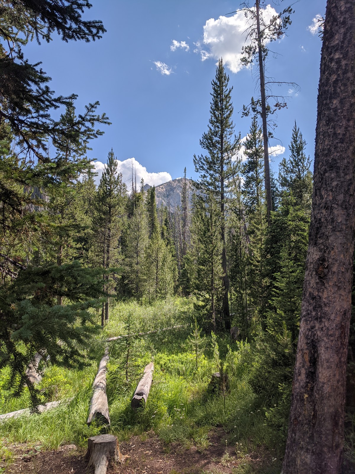 Iron Creek Campground