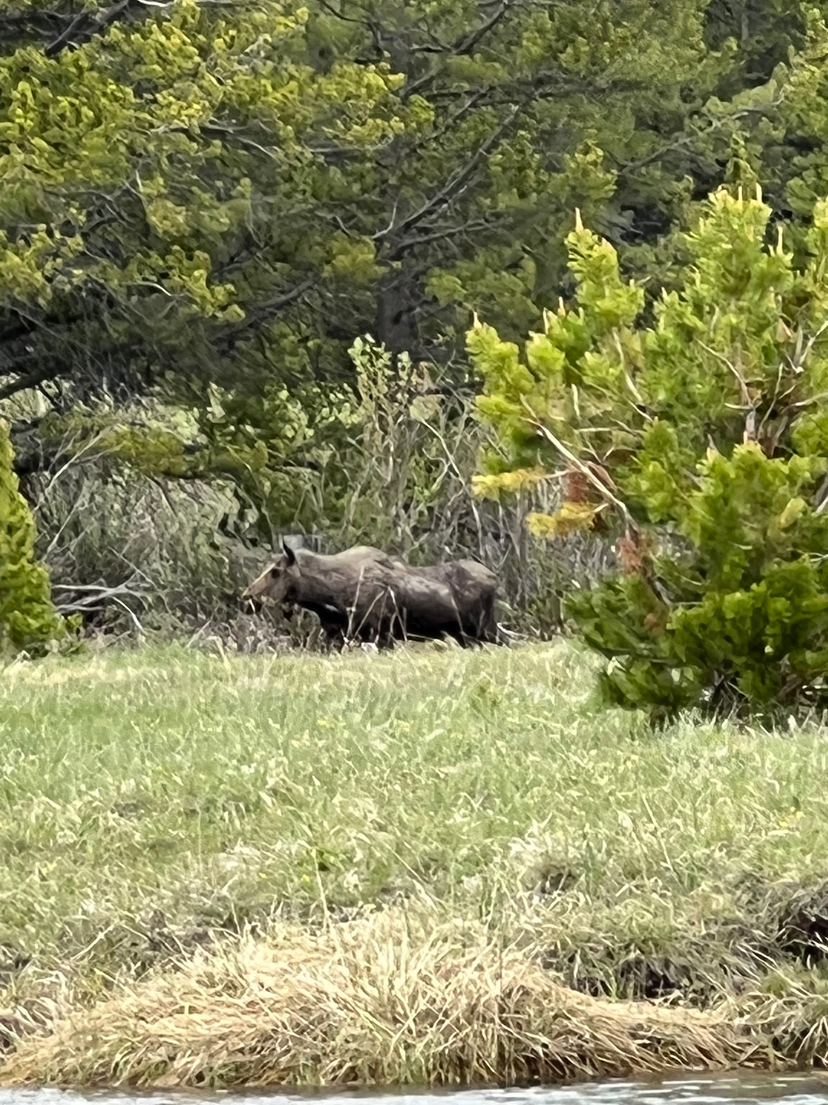 Island Park Campground