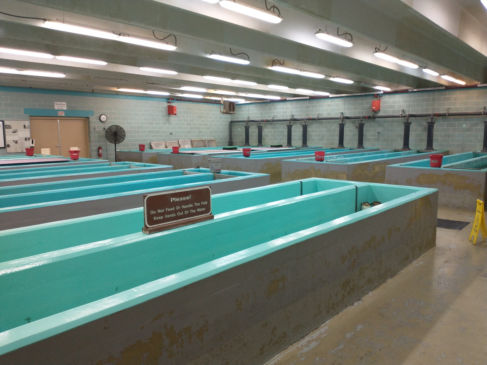 Kendall Recreation Area