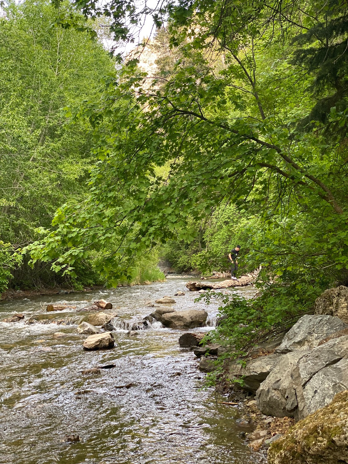 Little Valley Campground