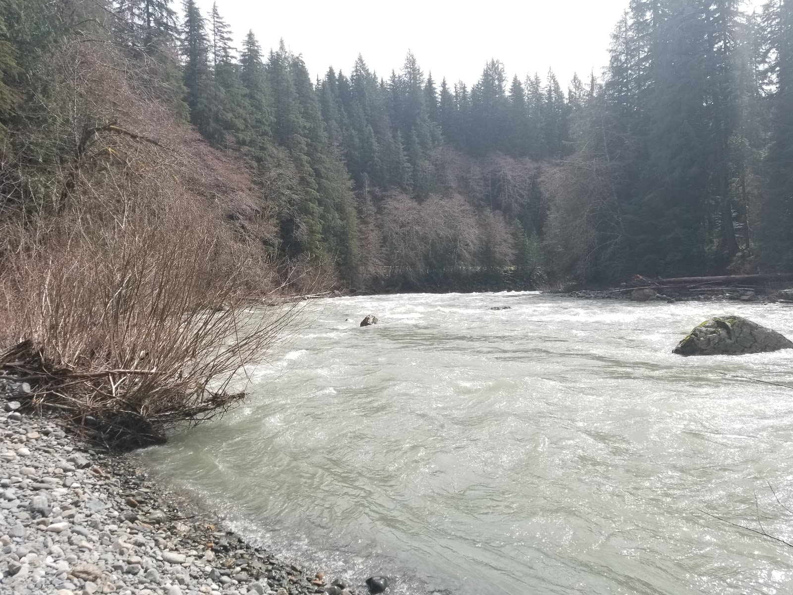 Wiley Creek Group Campground