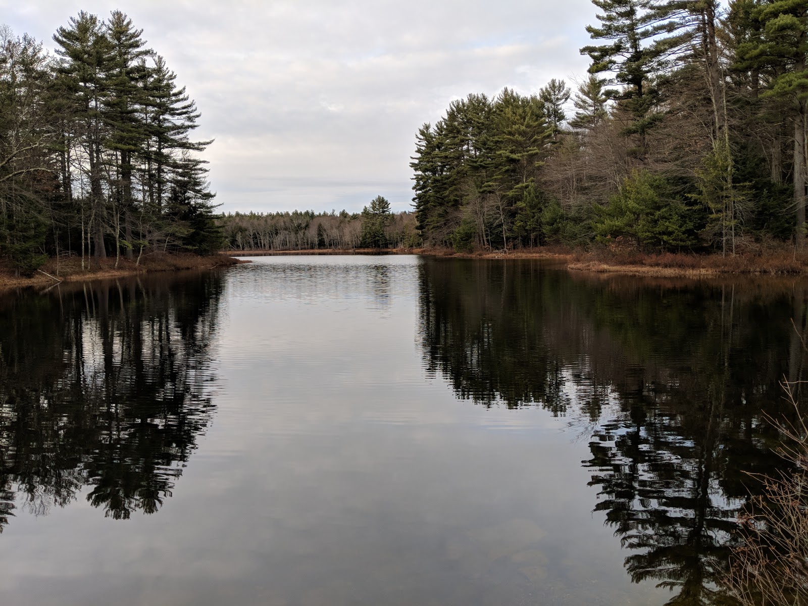 Lake Wyola State Park