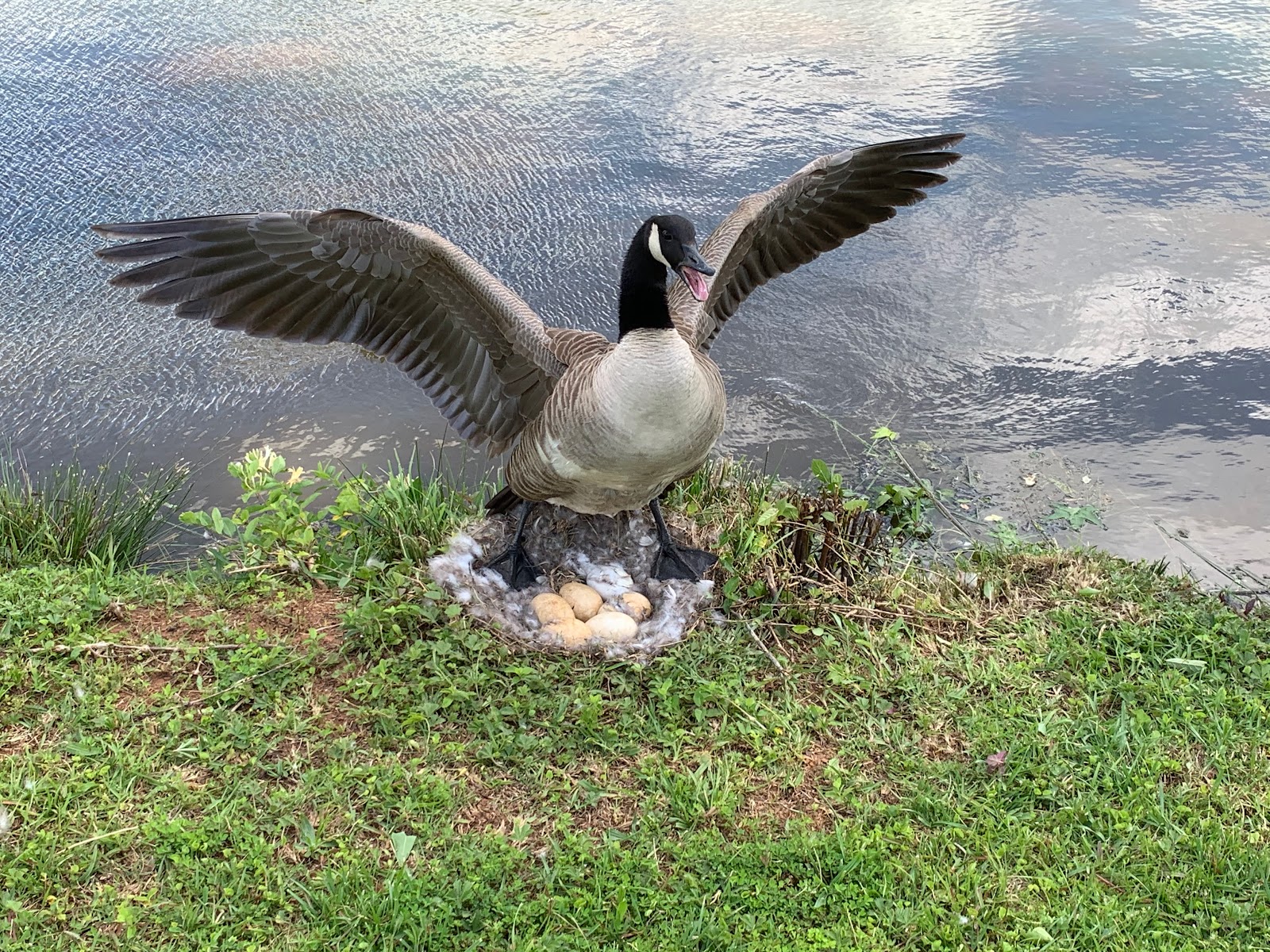 La Costa Mobile Home And RV Park